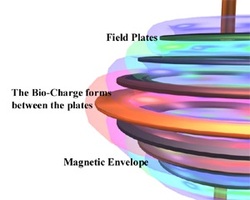 Bio-Energy Therapy The Bio-Charge forms between the plates