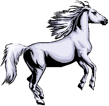 Horse Trials - Equine Study - Kennallywood Grey Horse