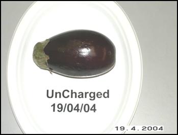 Un-charged Eggplant