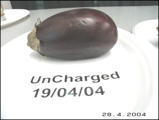 Eggplant uncharged 4-28-20