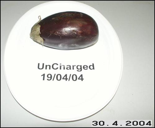 Eggplant uncharged April 30, 2004