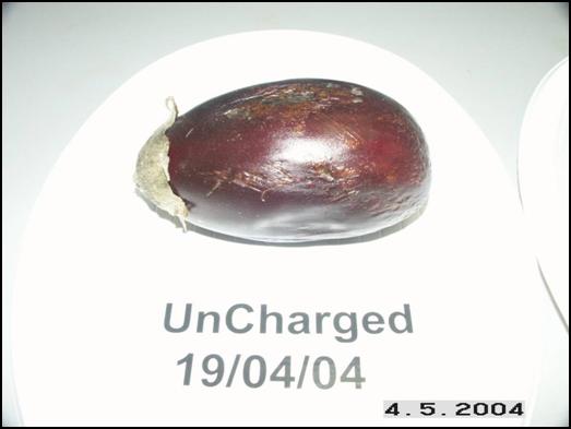 Eggplant uncharged May 4, 2004