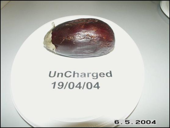 Eggplant uncharged May 6, 2004